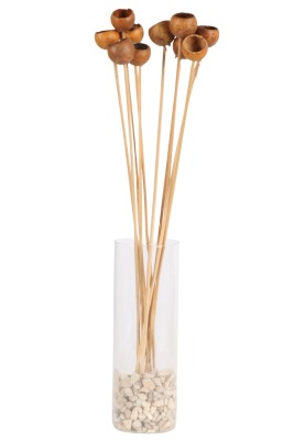 Dekoratif Doğal Kabak 50 cm 10lu - 2