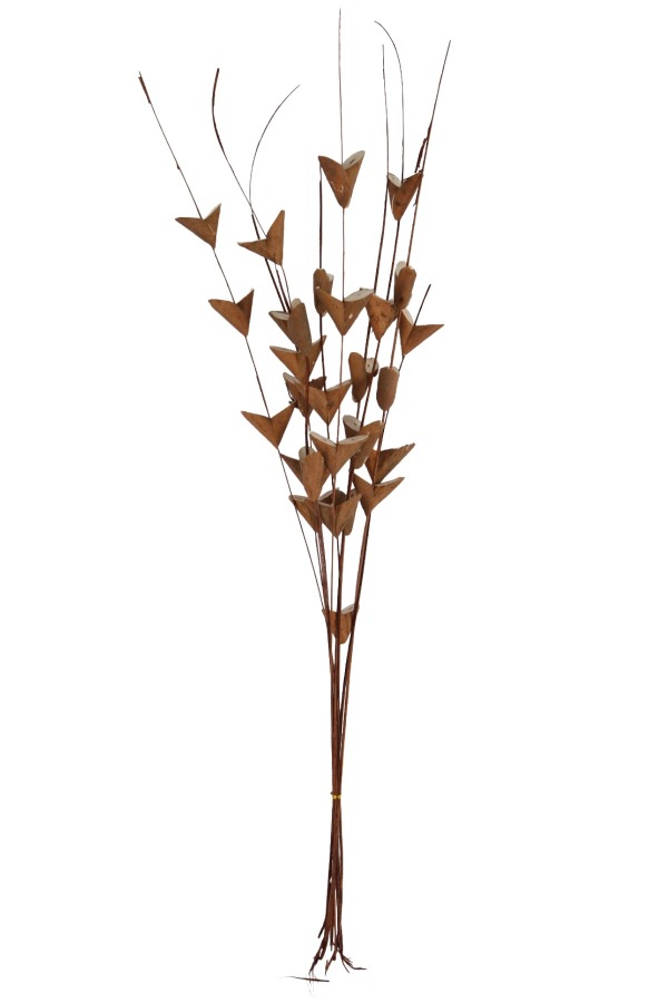 Kuru Çiçek Doğal Saz Çiçeği 85 cm 10lu - 3