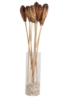 Kuru Çiçek Doğal Mehogany 45 cm 10lu - 1