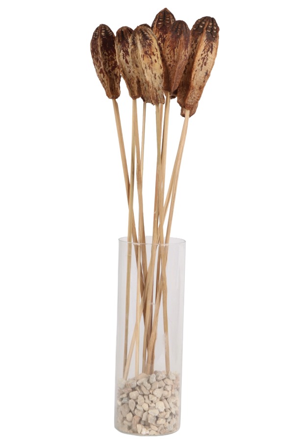 Kuru Çiçek Doğal Mehogany 45 cm 10lu - 1