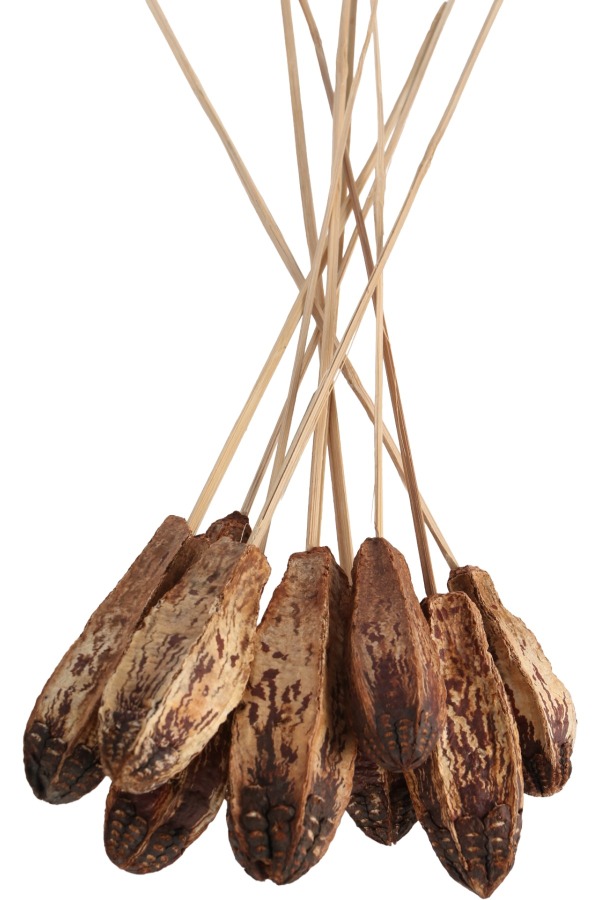 Kuru Çiçek Doğal Mehogany 45 cm 10lu - 3