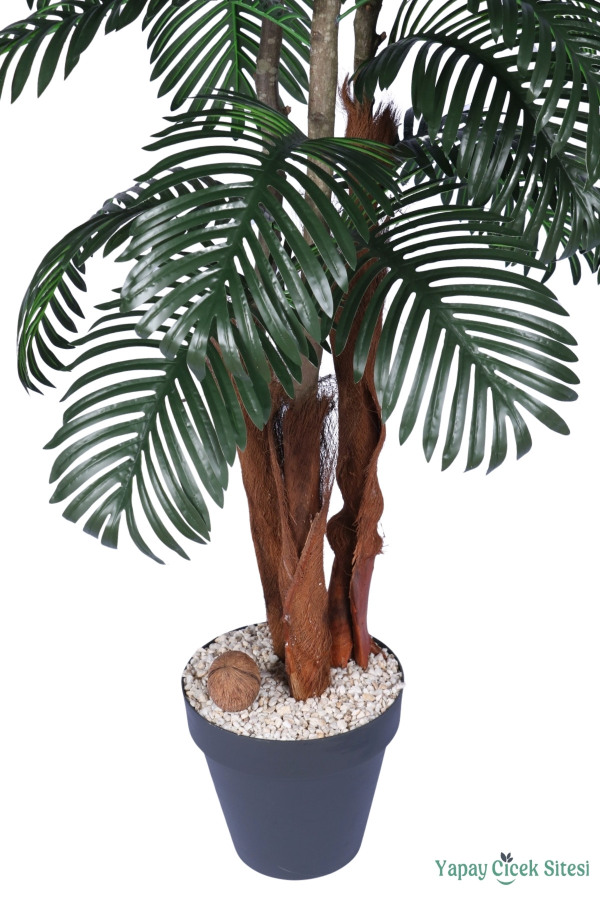 3 Gövdeli Siyah Saksıda Yapay Tropikal Palmiye Ağacı 28 Yapraklı 180 cm - 3