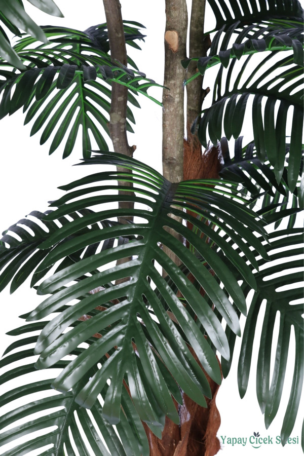 3 Gövdeli Siyah Saksıda Yapay Tropikal Palmiye Ağacı 28 Yapraklı 180 cm - 5