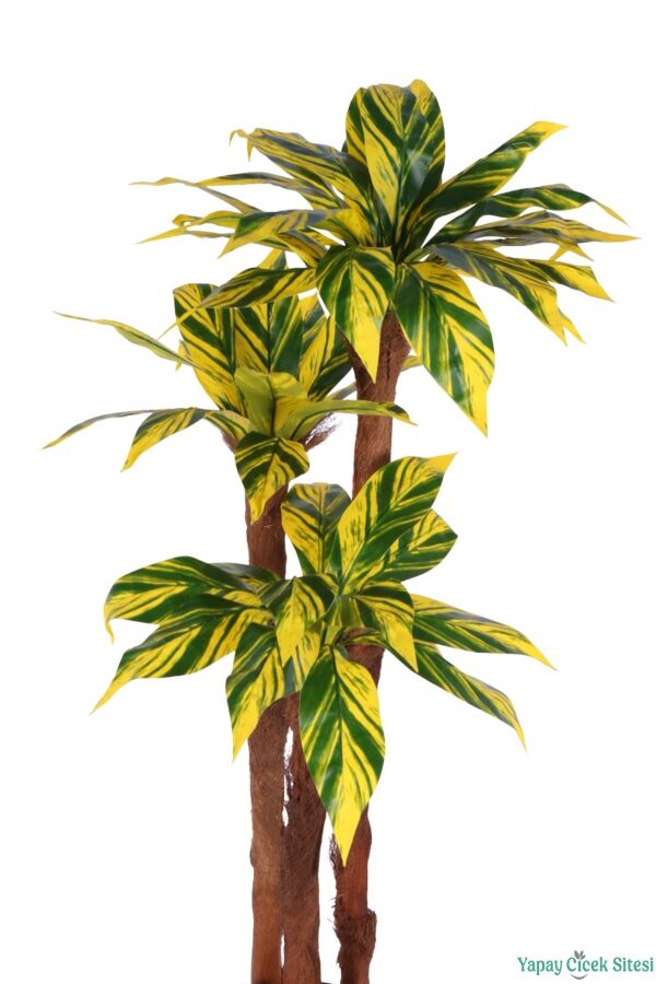 3 Gövdeli Siyah Saksıda Yapay Botanik Ağaç 130 cm Sarı-Yeşil - 4