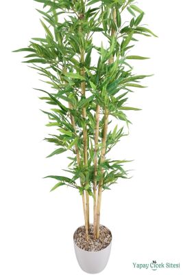 4 Gövdeli Yapay Bambu Ağacı 170 cm Model 4 - 2