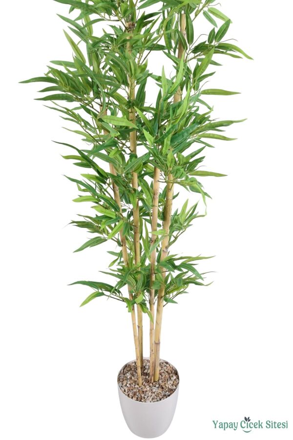 4 Gövdeli Yapay Bambu Ağacı 170 cm Model 4 - 2
