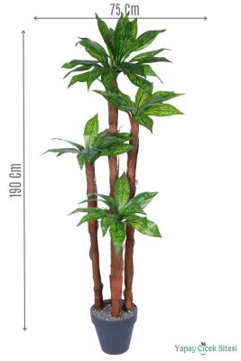 4 Gövdeli Yapay Botanik Ağaç 190 cm Model 1 - 1