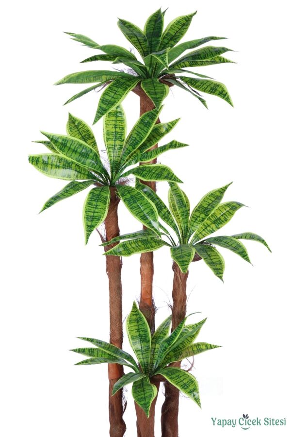 4 Gövdeli Yapay Botanik Ağaç 190 cm Model 4 - 2