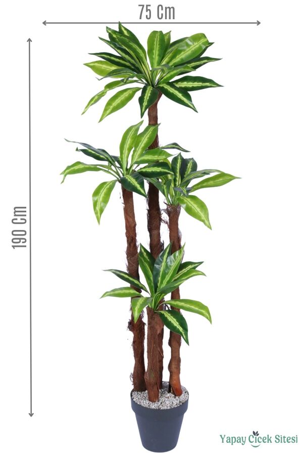 4 Gövdeli Yapay Botanik Ağaç 190 cm Model 7 - 1