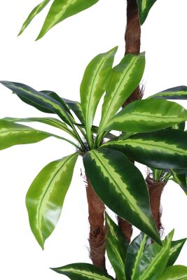 4 Gövdeli Yapay Botanik Ağaç 190 cm Model 7 - 3