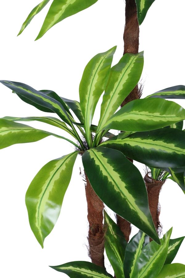 4 Gövdeli Yapay Botanik Ağaç 190 cm Model 7 - 3