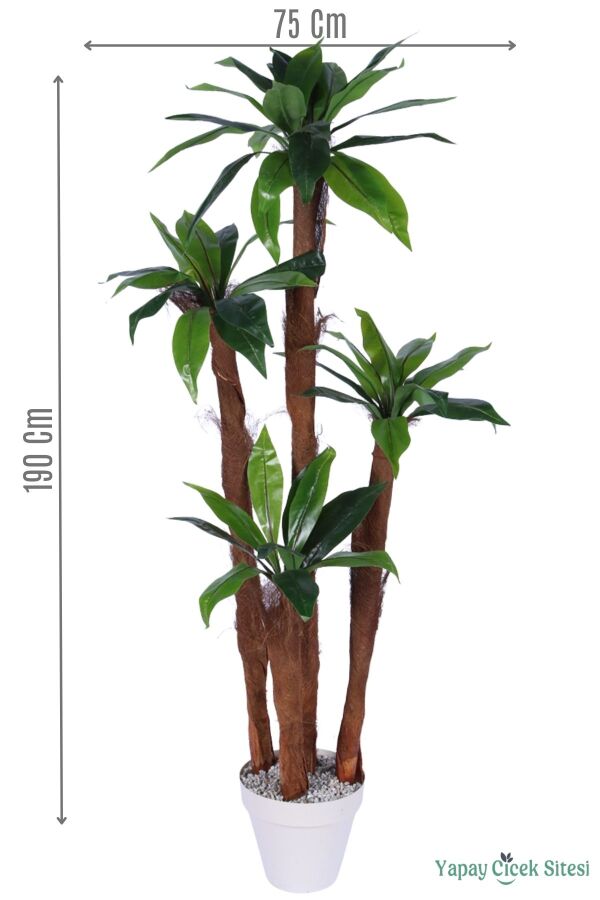 4 Gövdeli Yapay Botanik Ağaç 190 cm Model 8 - 1