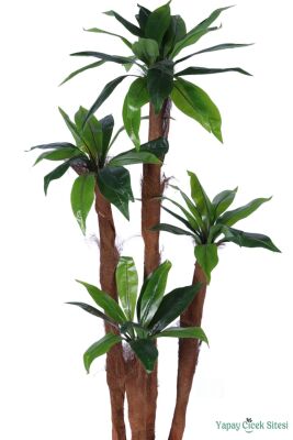 4 Gövdeli Yapay Botanik Ağaç 190 cm Model 8 - 2