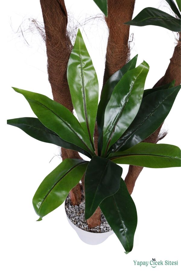 4 Gövdeli Yapay Botanik Ağaç 190 cm Model 8 - 3