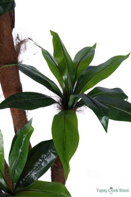 4 Gövdeli Yapay Botanik Ağaç 190 cm Model 8 - 5