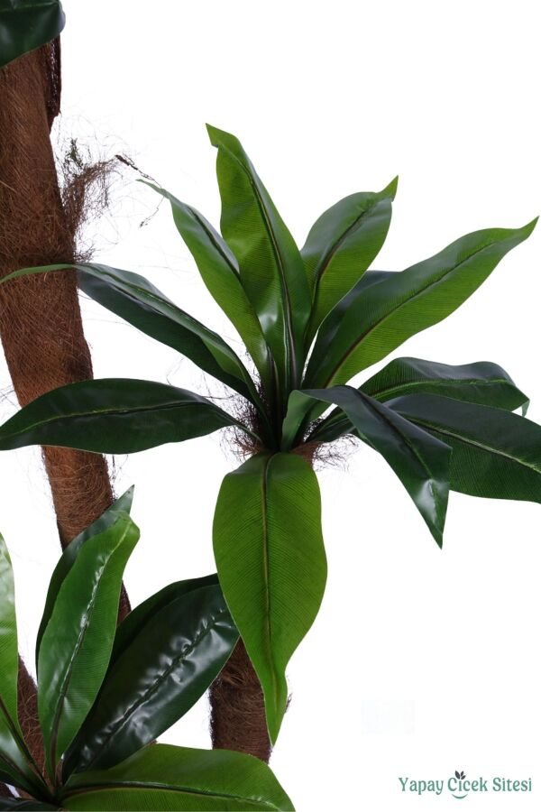 4 Gövdeli Yapay Botanik Ağaç 190 cm Model 8 - 5