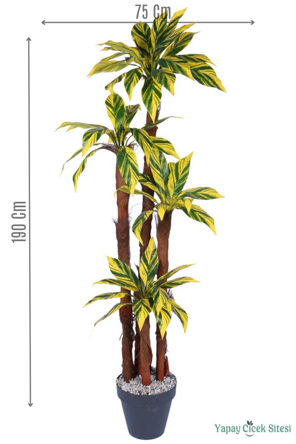 4 Gövdeli Yapay Botanik Ağaç 190 cm Model 9 - 1