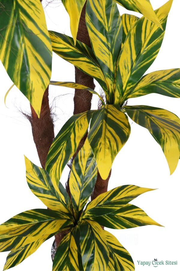 4 Gövdeli Yapay Botanik Ağaç 190 cm Model 9 - 4