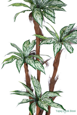 4 Gövdeli Yapay Difenbahya Ağacı 180 cm Model 1 - 2