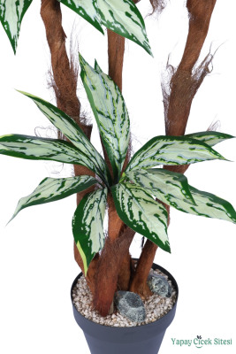 4 Gövdeli Yapay Difenbahya Ağacı 180 cm Model 1 - 3