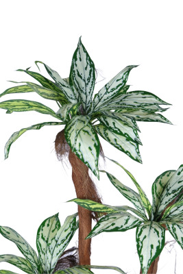 4 Gövdeli Yapay Difenbahya Ağacı 180 cm Model 1 - 4