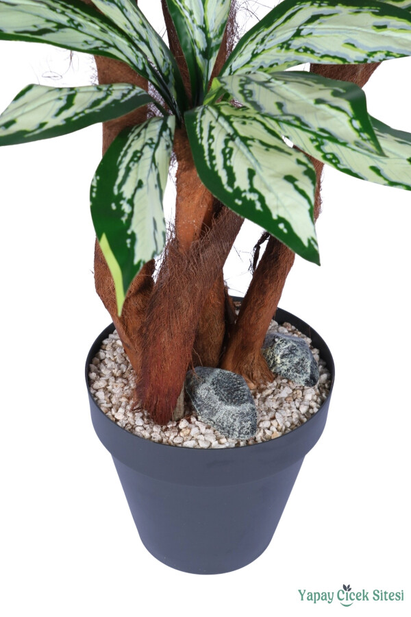 4 Gövdeli Yapay Difenbahya Ağacı 180 cm Model 1 - 5