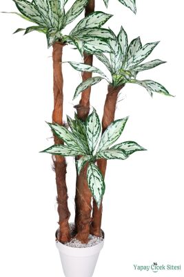 4 Gövdeli Yapay Difenbahya Ağacı 180 cm Model 2 - 3