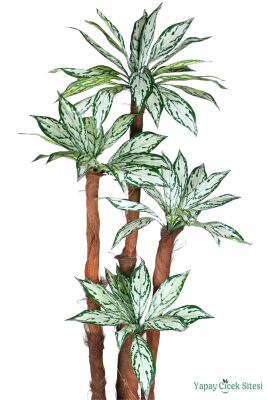 4 Gövdeli Yapay Difenbahya Ağacı 180 cm Model 2 - 4