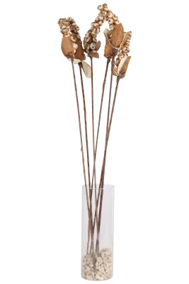 Kuru Çiçek Doğal Sholu Berries 65 cm 5li - Yapay Çiçek Sitesi