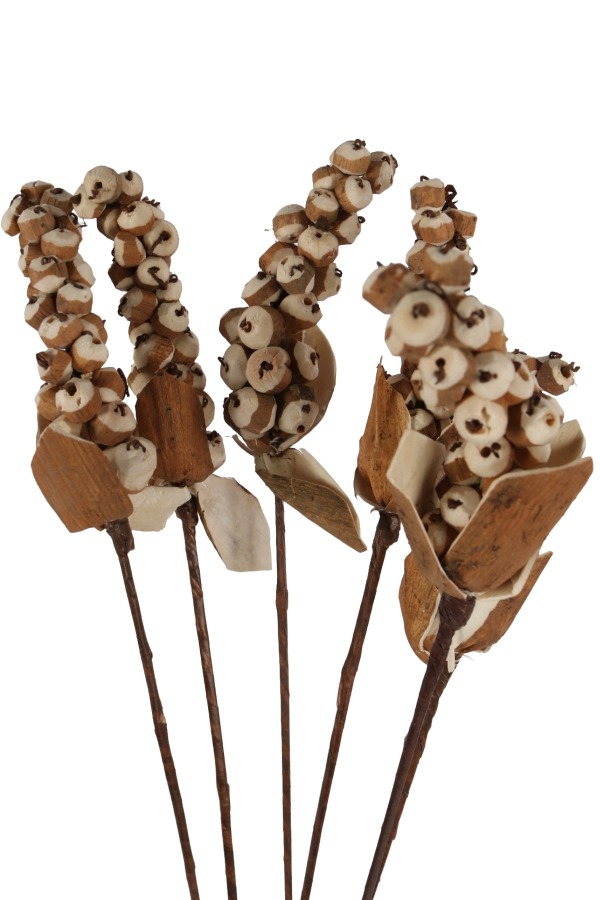 Kuru Çiçek Doğal Sholu Berries 65 cm 5li - 2