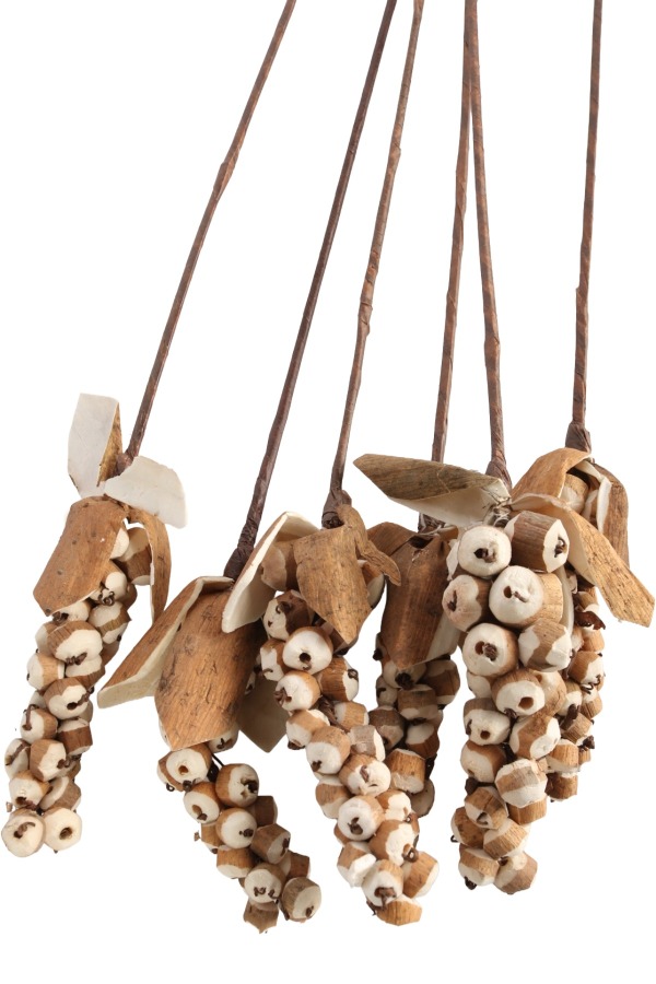 Kuru Çiçek Doğal Sholu Berries 65 cm 5li - 3