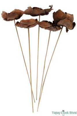 Kuru Çiçek Doğal Palmcup Çiçeği 45 cm 5li - 3