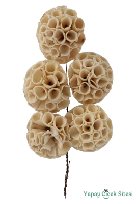 Doğal Shola Büyük Lotus 35 cm 5li - 1