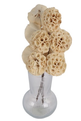 Doğal Shola Büyük Lotus 35 cm 5li - 2
