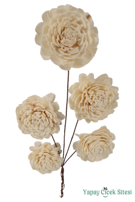 Doğal Shola Kuru Karanfil 35 cm 5li - 1