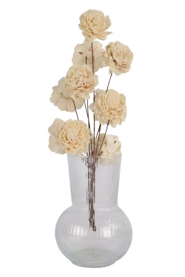 Doğal Shola Kuru Karanfil 35 cm 5li - 2
