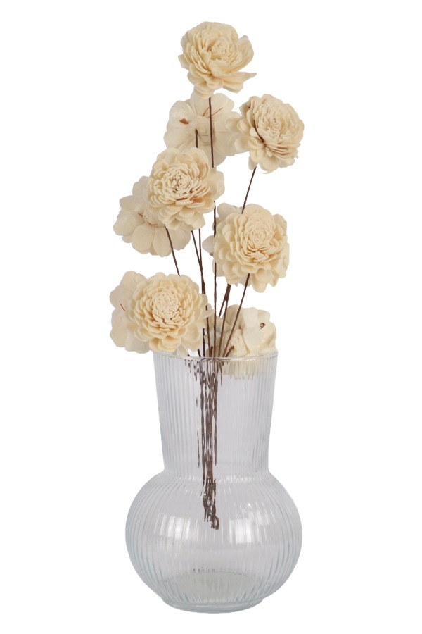Doğal Shola Kuru Karanfil 35 cm 5li - 2