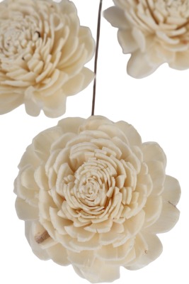 Doğal Shola Kuru Karanfil 35 cm 5li - 3