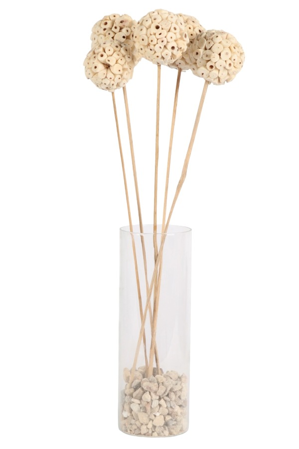 Doğal Shola Kuş 45 cm 5li - 1