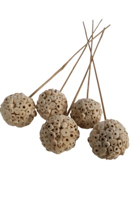 Doğal Shola Kuş 45 cm 5li - 2