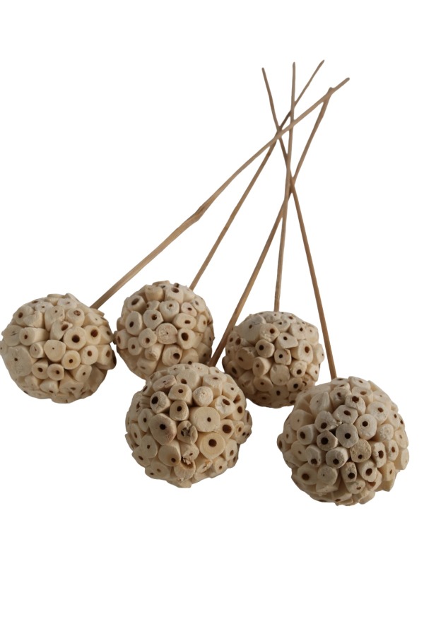 Doğal Shola Kuş 45 cm 5li - 2