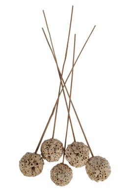 Doğal Shola Kuş 45 cm 5li - 3