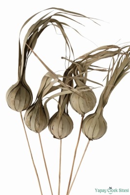 Doğal Tropic Eliot On Stem 60 cm 5li - 1