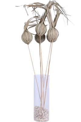 Doğal Tropic Eliot On Stem 60 cm 5li - 2