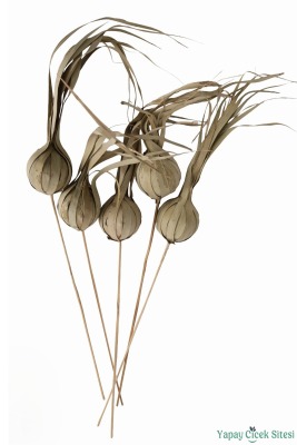 Doğal Tropic Eliot On Stem 60 cm 5li - 3