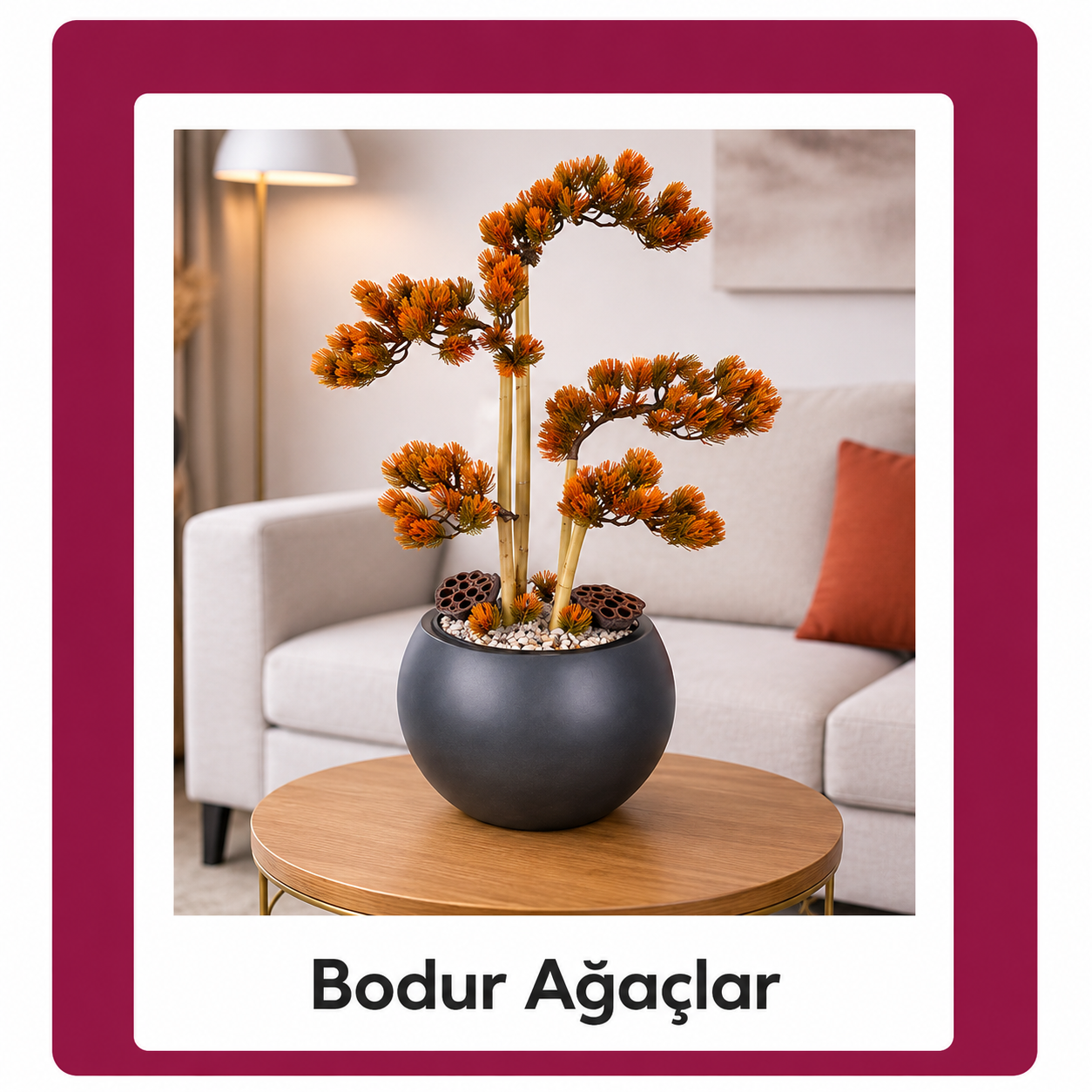 Bodur Ağaçlar