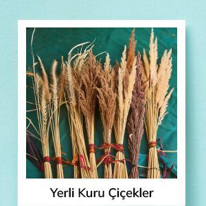 Yerli Kuru Çiçekler