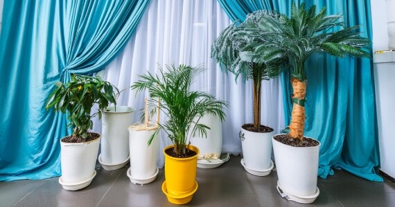 Yapay Ağaçlarla Dekorasyon Fikirleri 