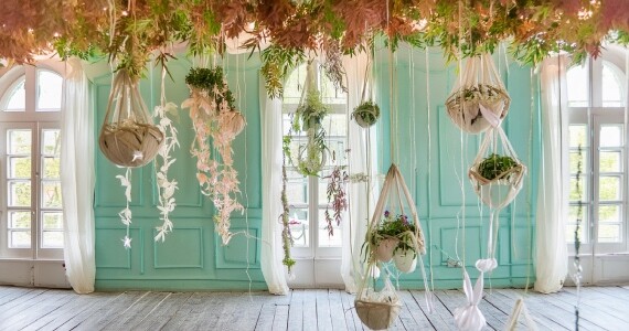 Yapay Sarmaşıkların Kullanım Alanları