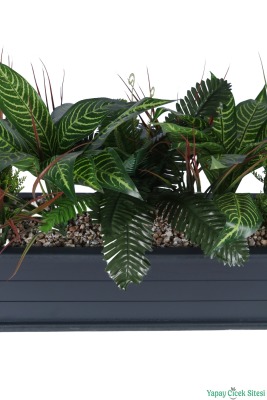 Ahşap Saksıda Dekoratif Model 3 - 4